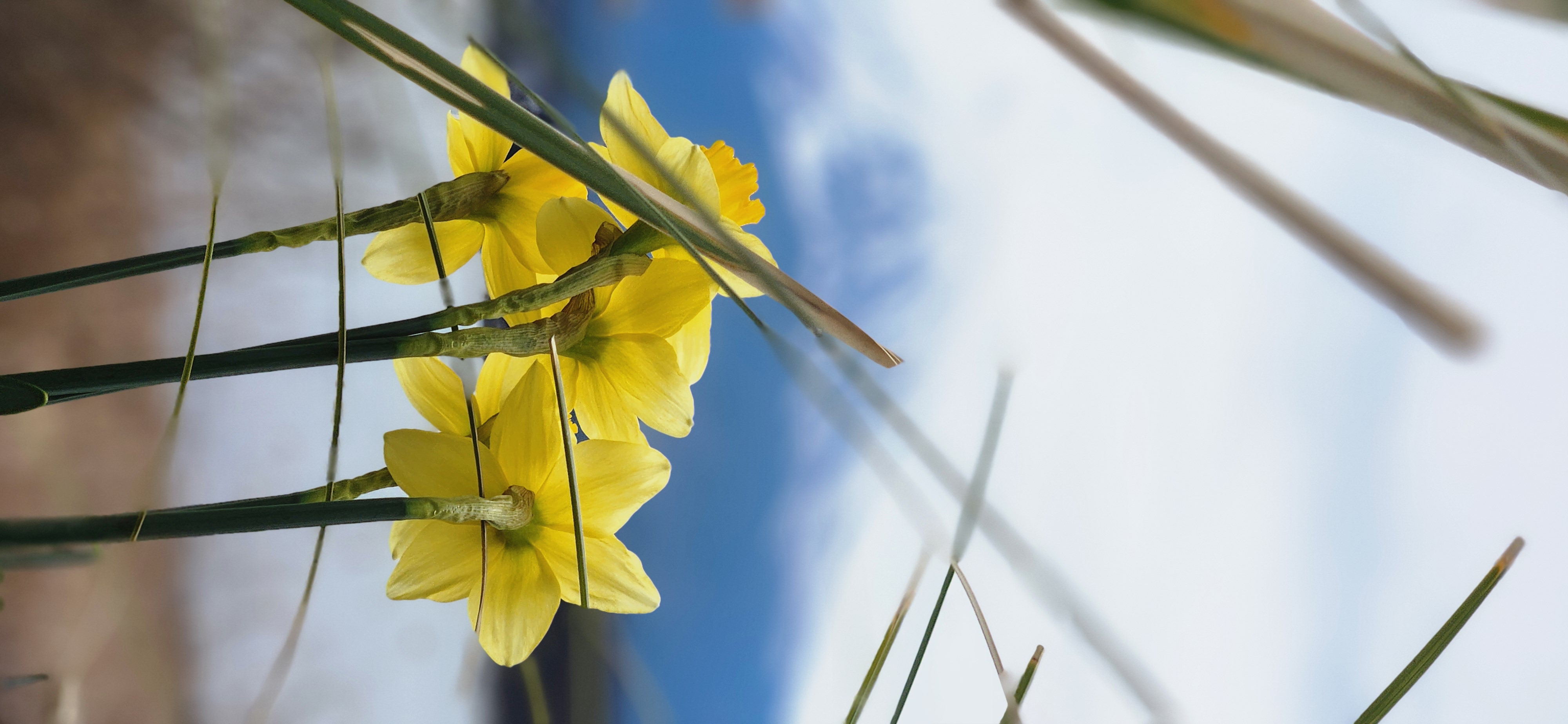 En el Día Mundial del Autocuidado: Un Tributo a los Trabajadores Humanitarios