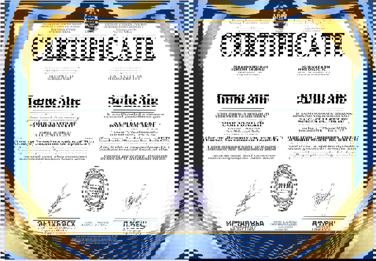 Сертификат 2 PAVLIUK AL...