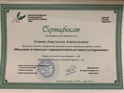 Сертификат 3 Анастасия Чи...