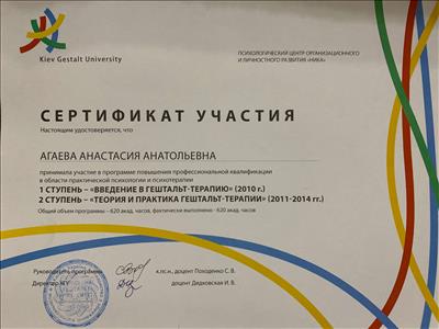 Сертификат 2 Анастасия Чи...