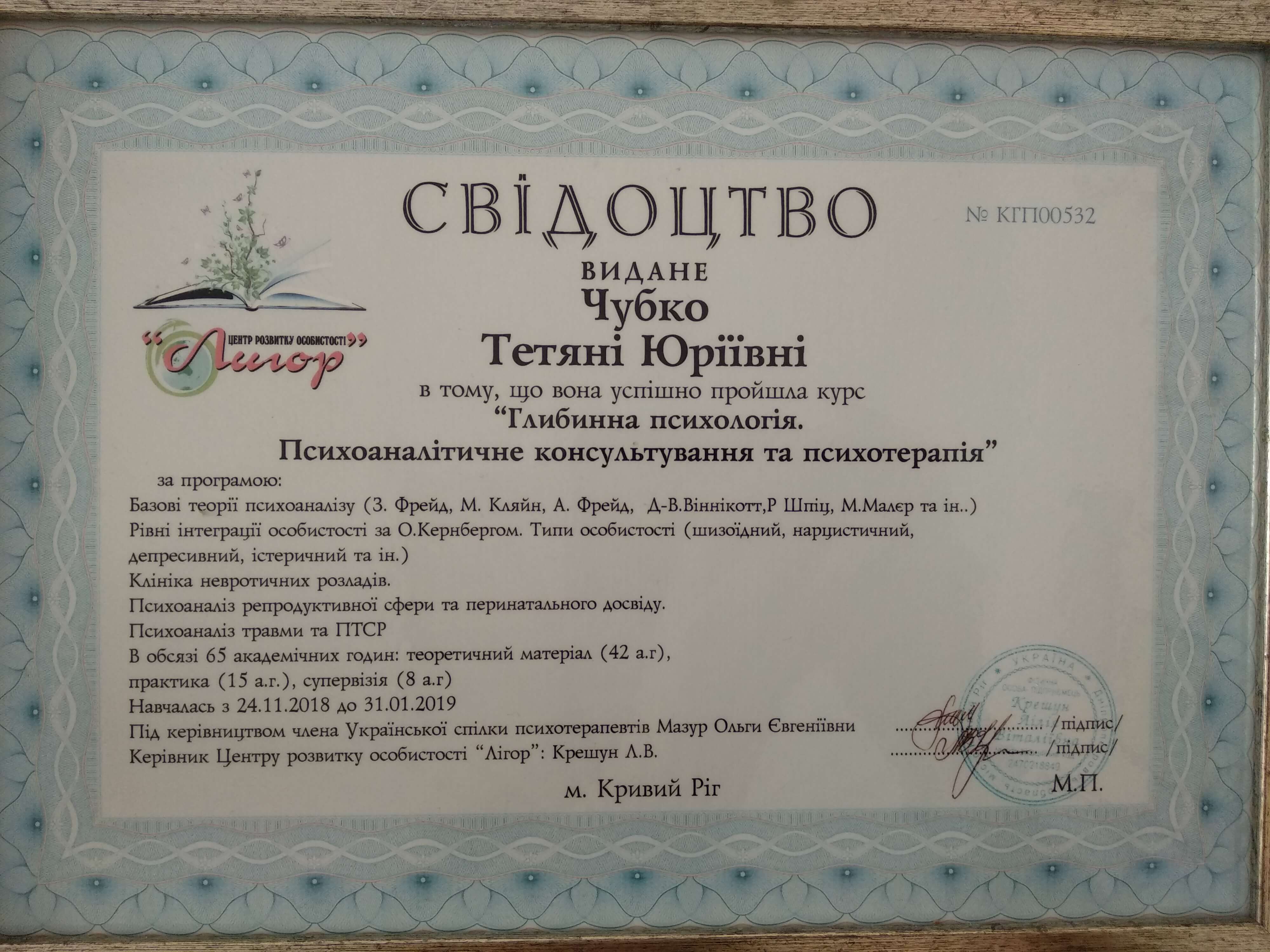 Сертифікат 2 Тетяна Чу...