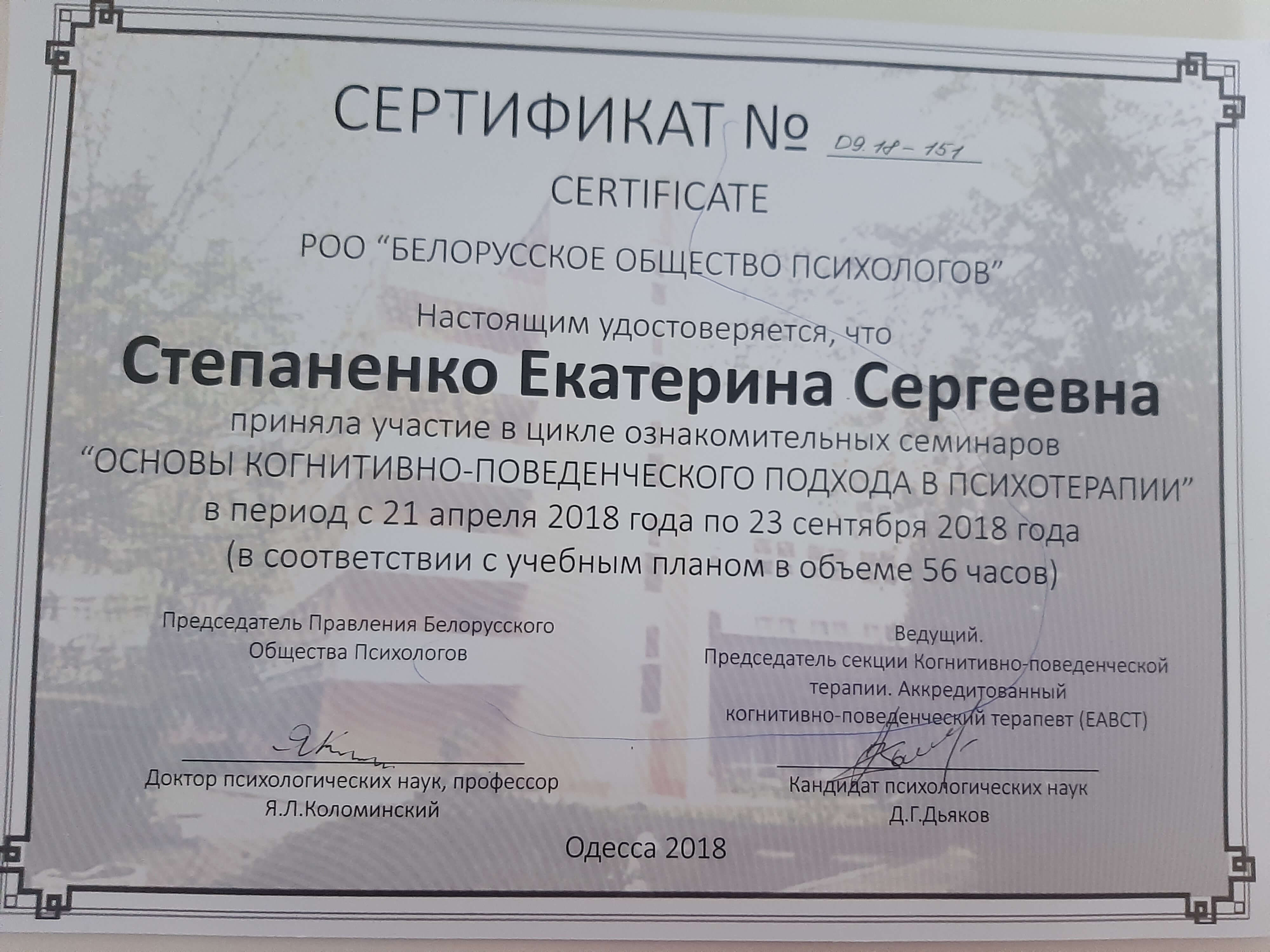 Сертификат 4 Катерина Ст...