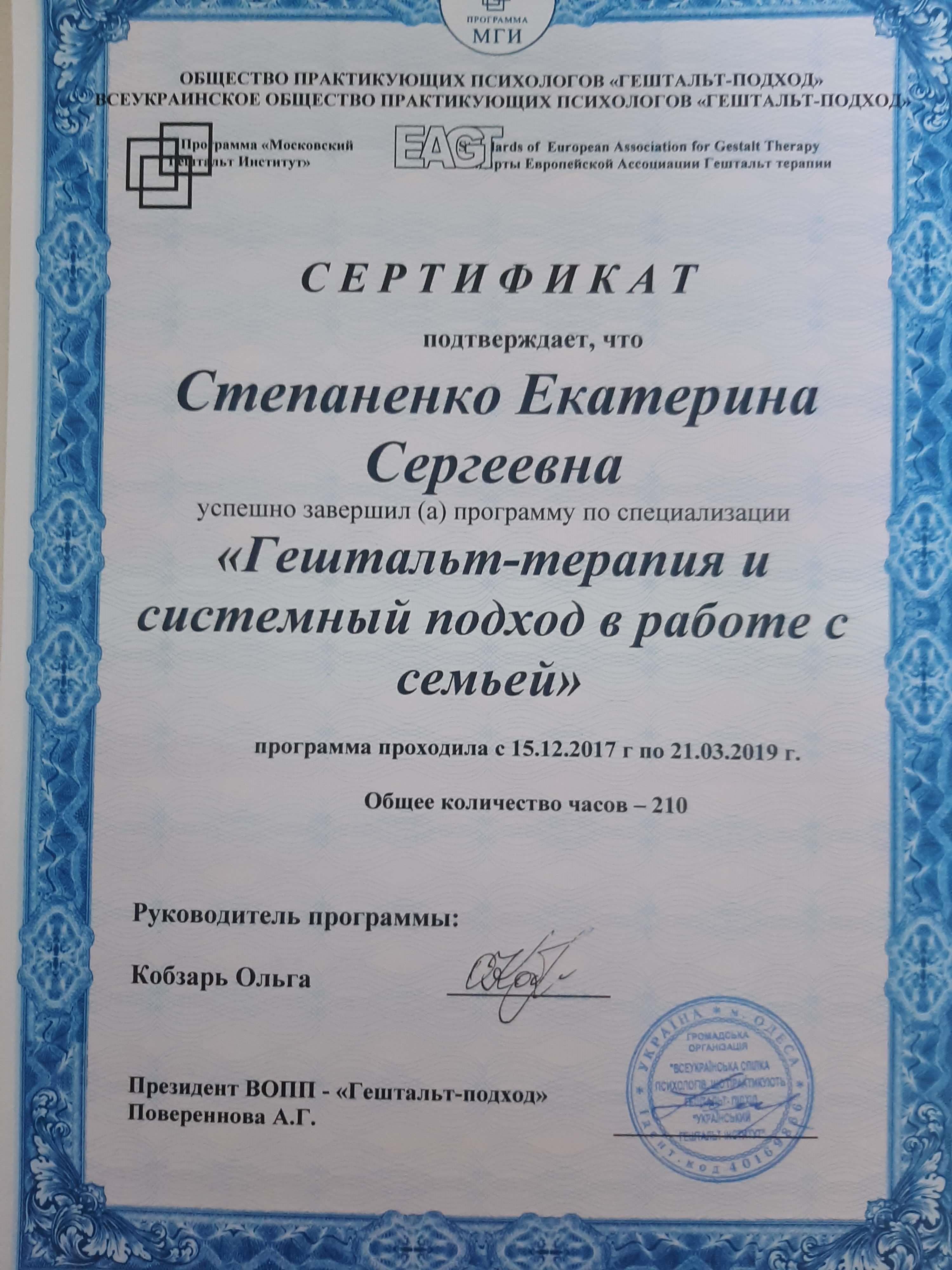 Сертификат 2 Катерина Ст...