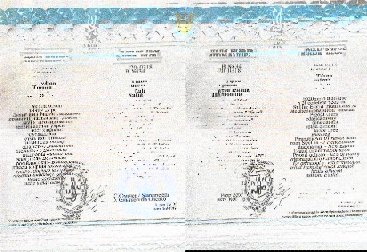 Сертификат 1 Наталия Tr...