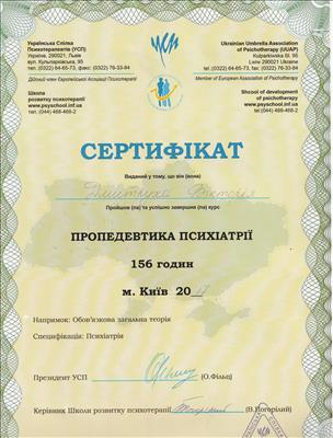 Сертификат 2 Виктория Ша...