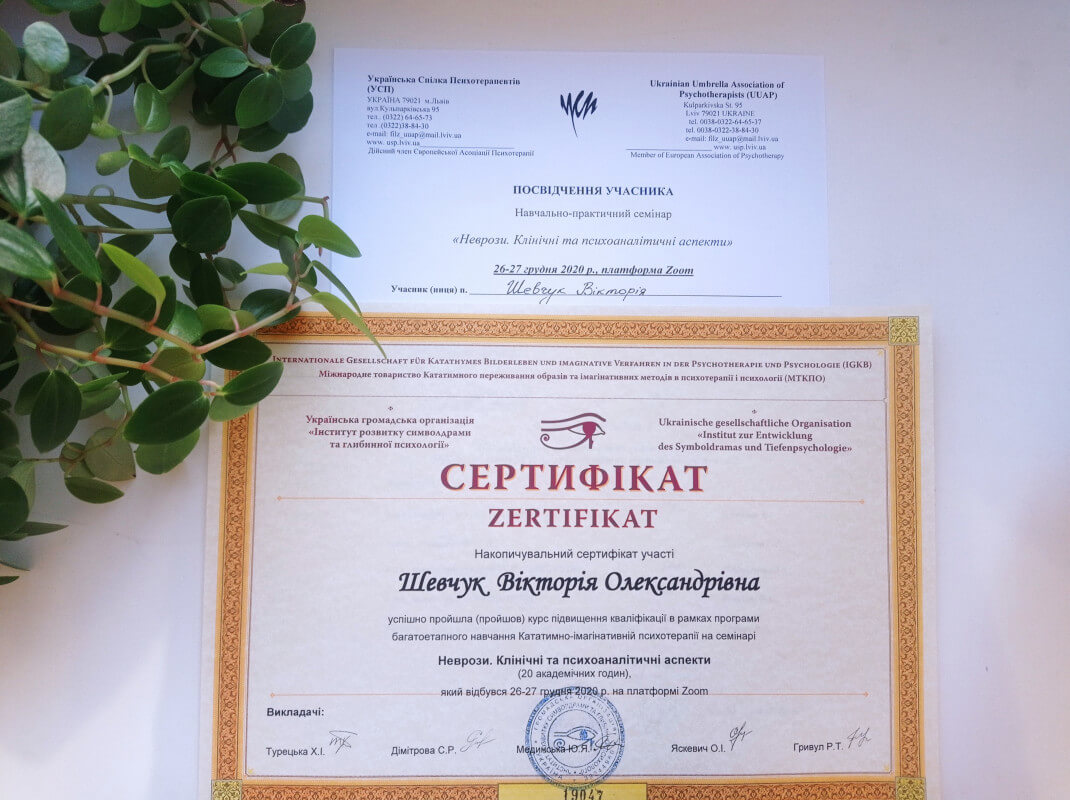 Сертифікат 2 Вікторія Ше...