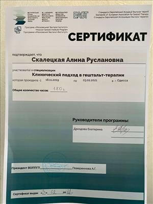Сертифікат 2 Аліна Ск...