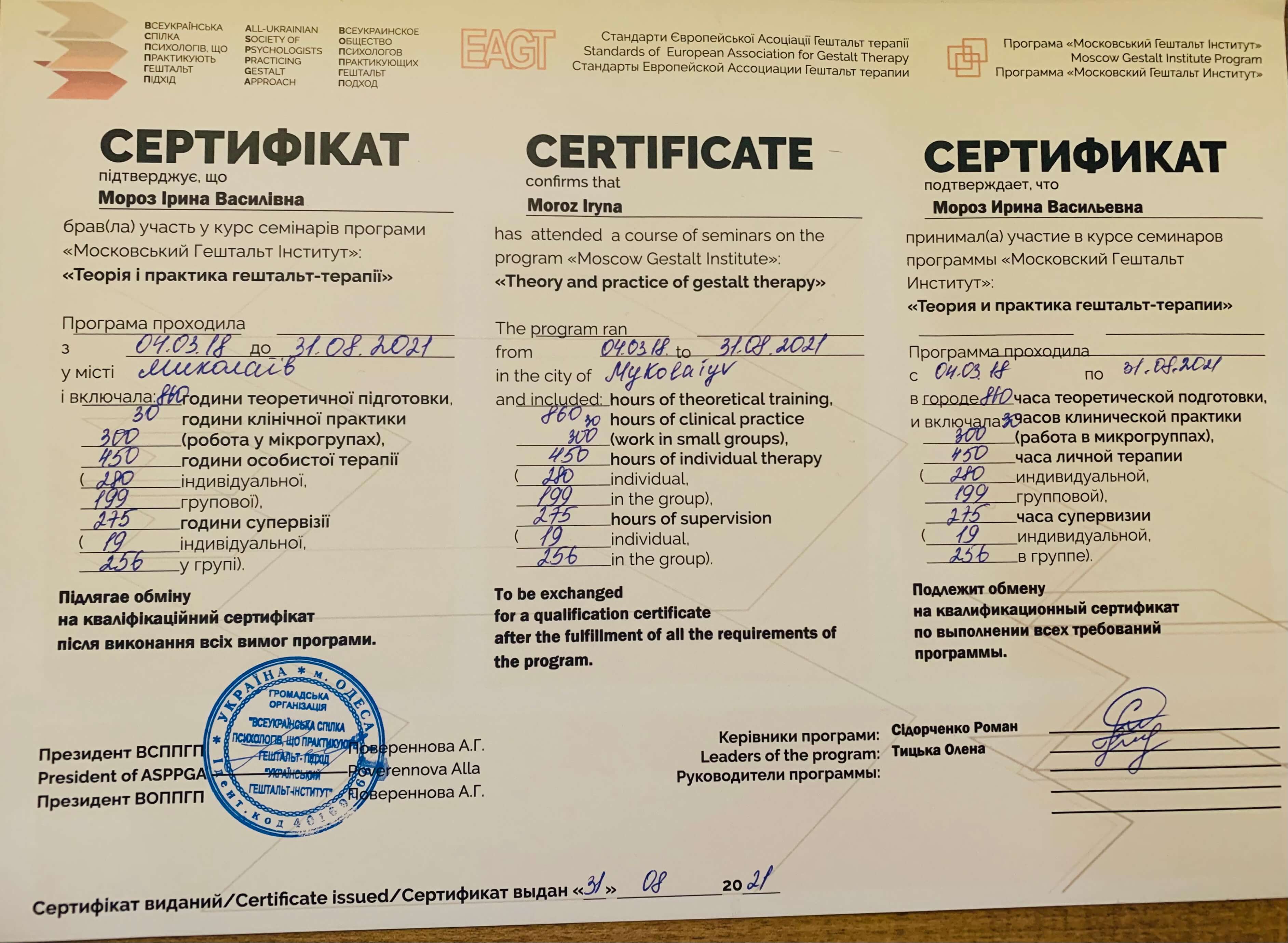 Сертификат 2 Ирина Мо...