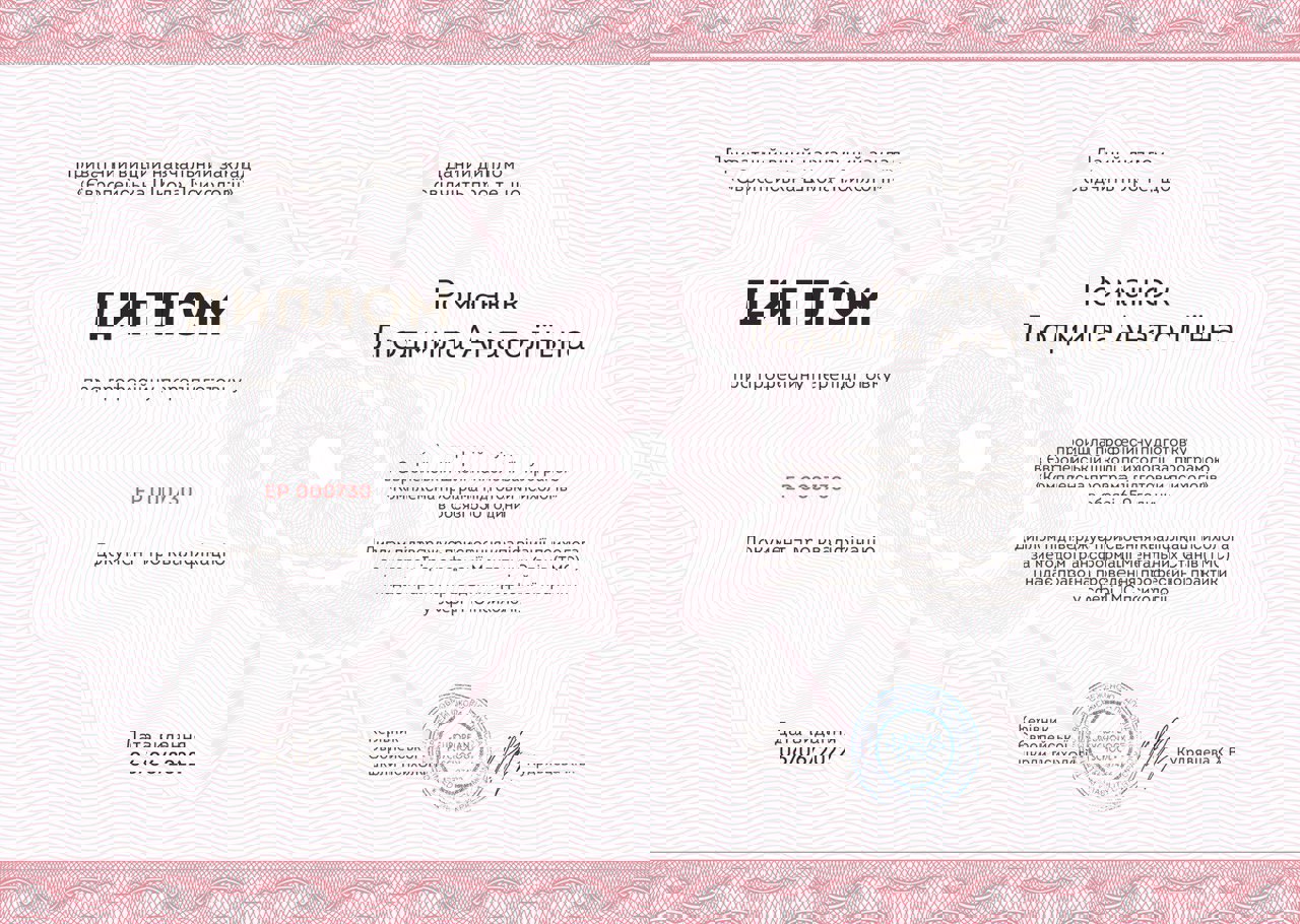 Сертификат 2 Людмила Ро...