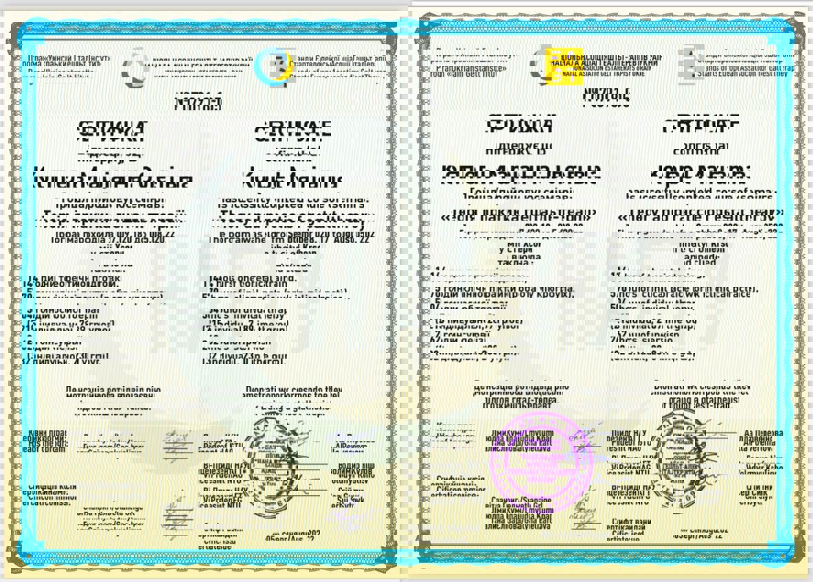 Сертификат 2 Марина Ко...