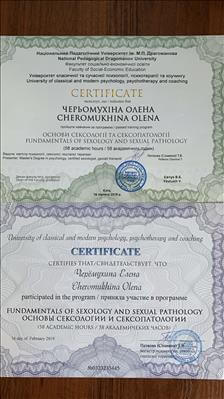 Сертифікат 2 Олена Че...