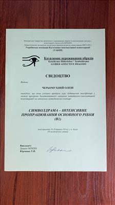 Сертифікат 5 Олена Че...