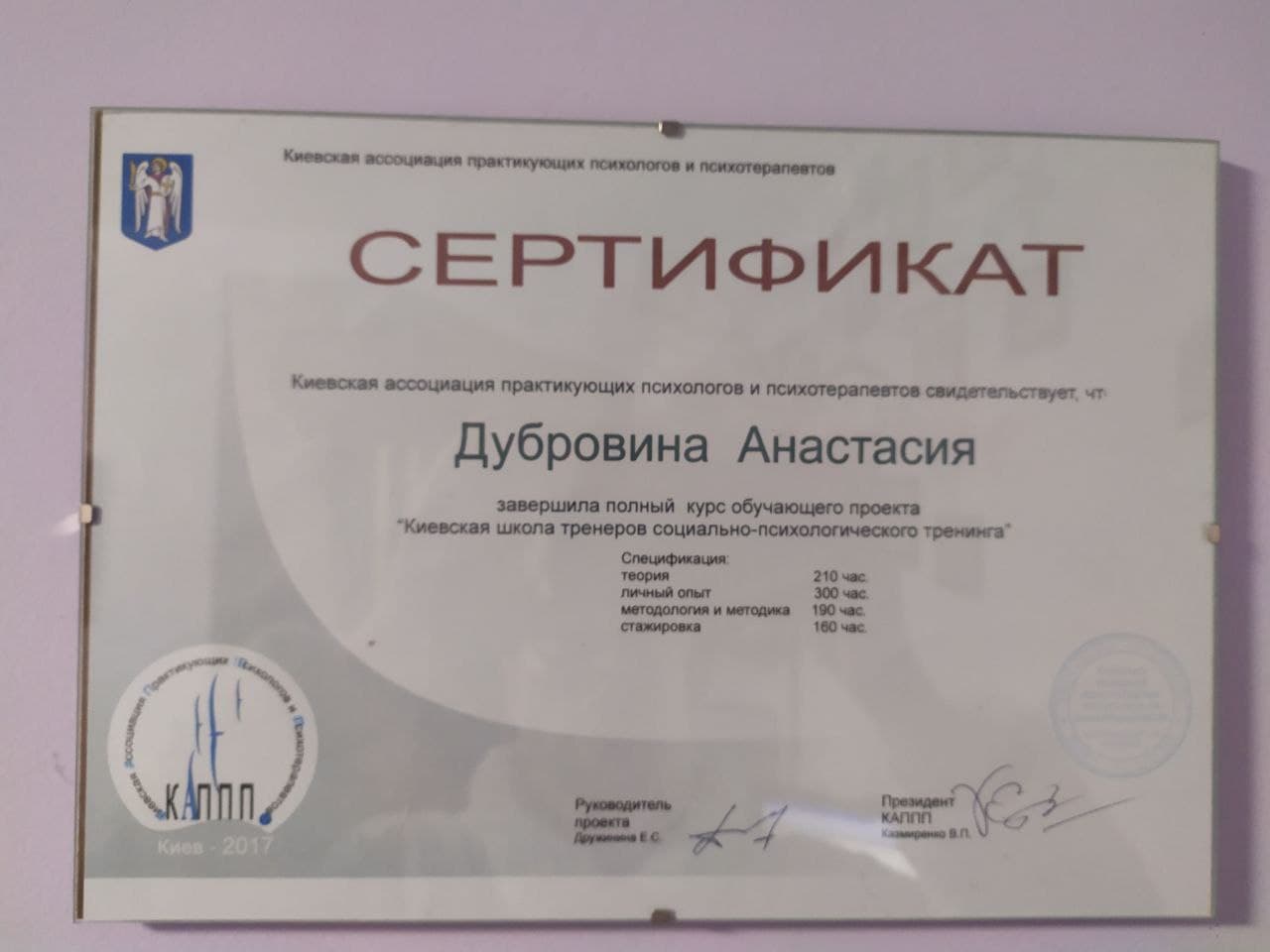 Сертифікат 2 Анастасія Ду...