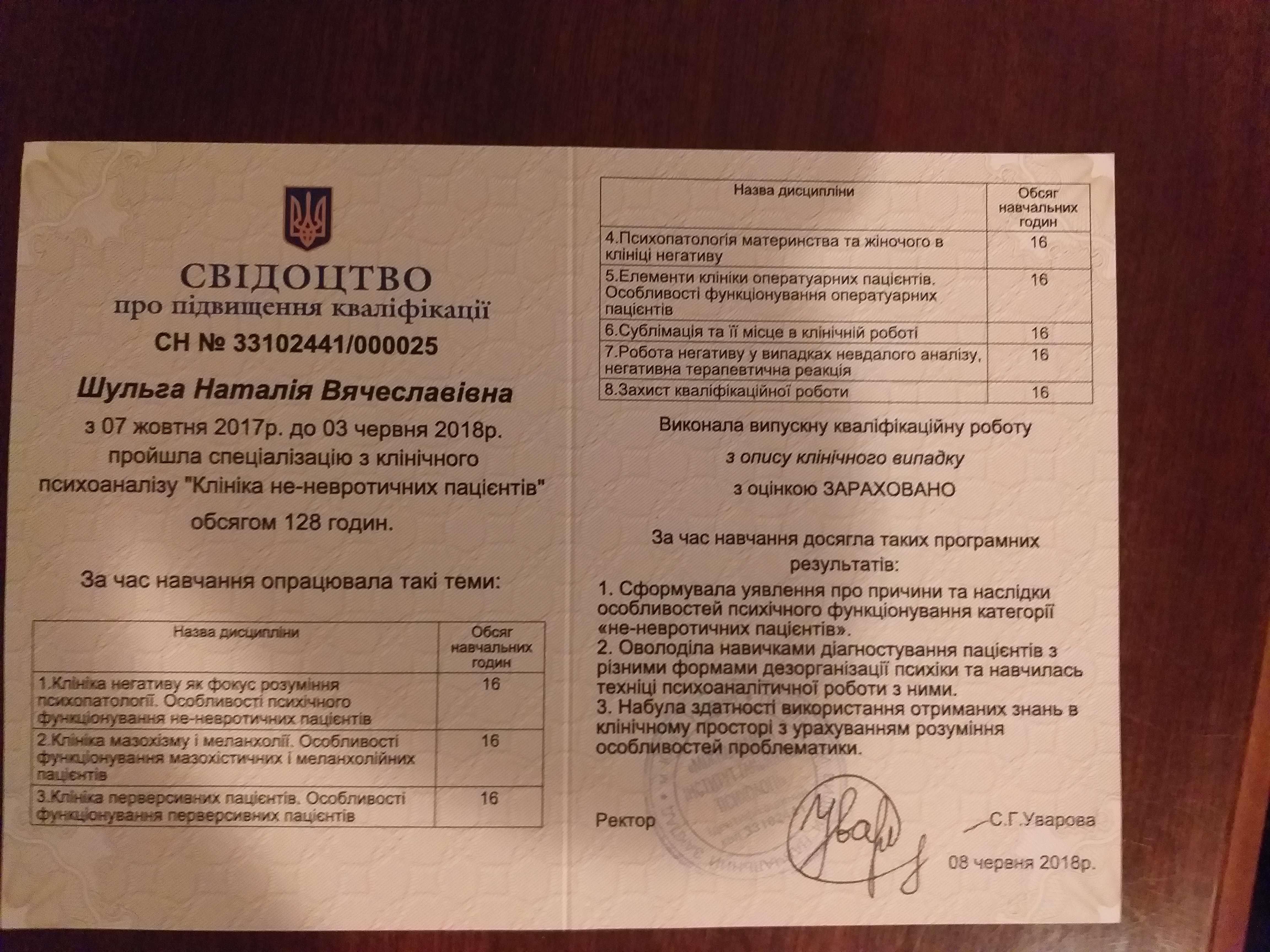 Сертификат 1 Наталья  Шу...