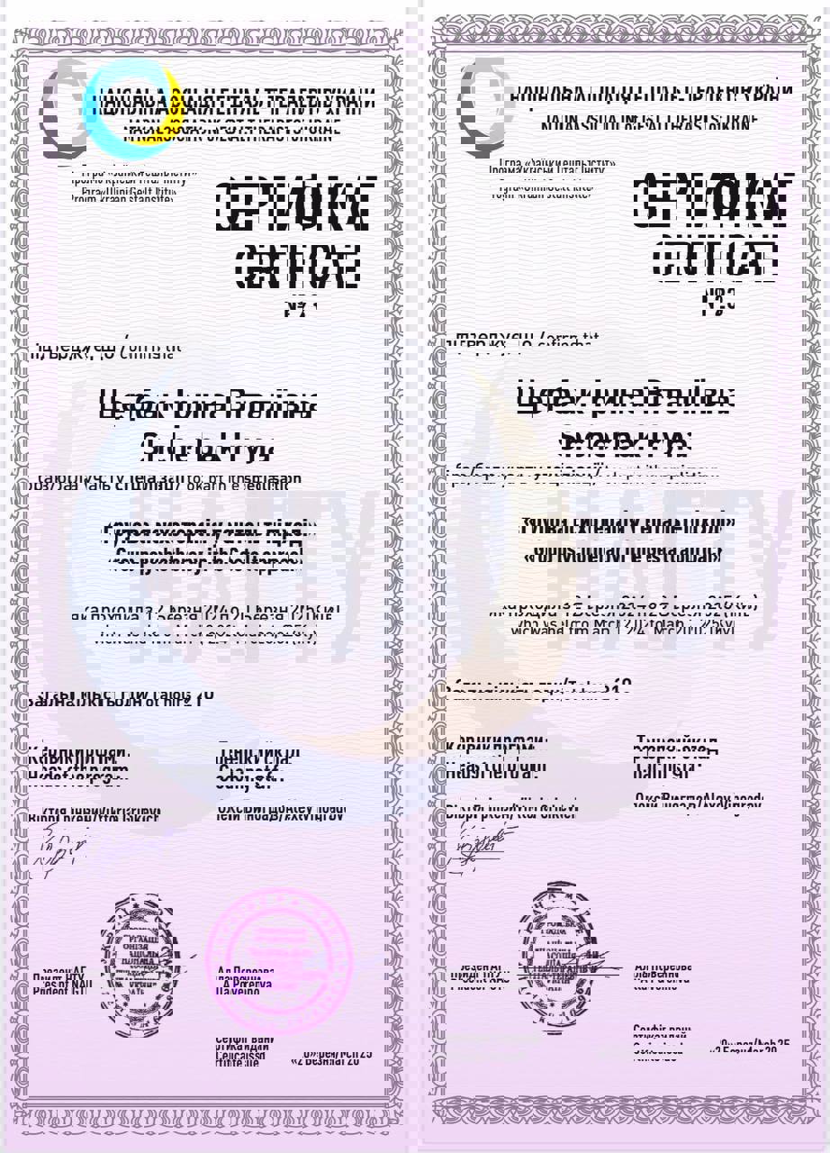 Сертификат 3 Ирина Ще...