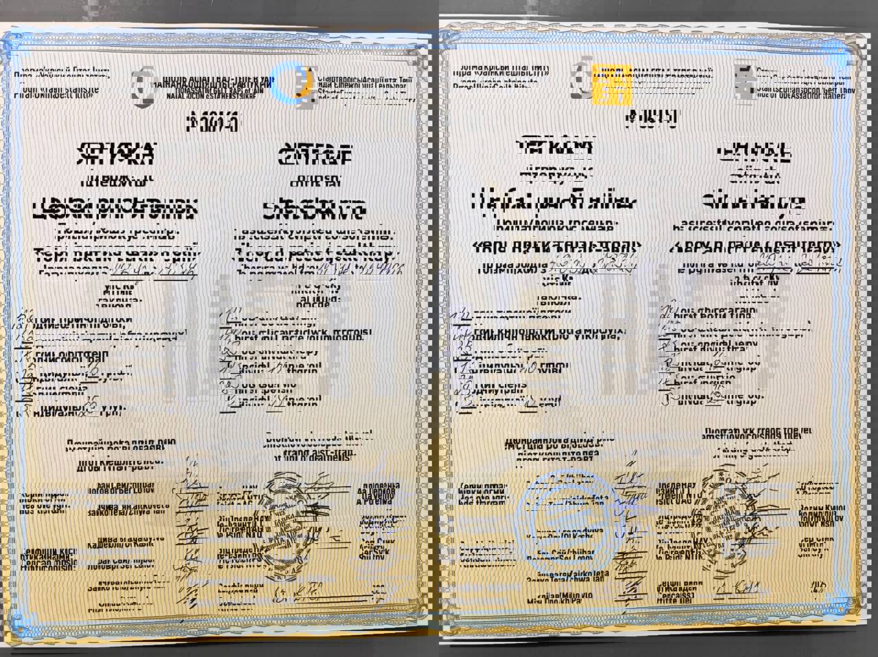 Сертификат 2 Ирина Ще...