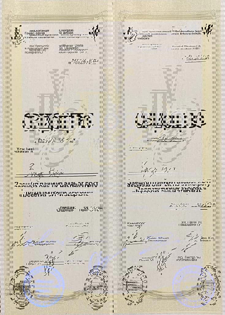 Сертификат 2 Юлія Бр...