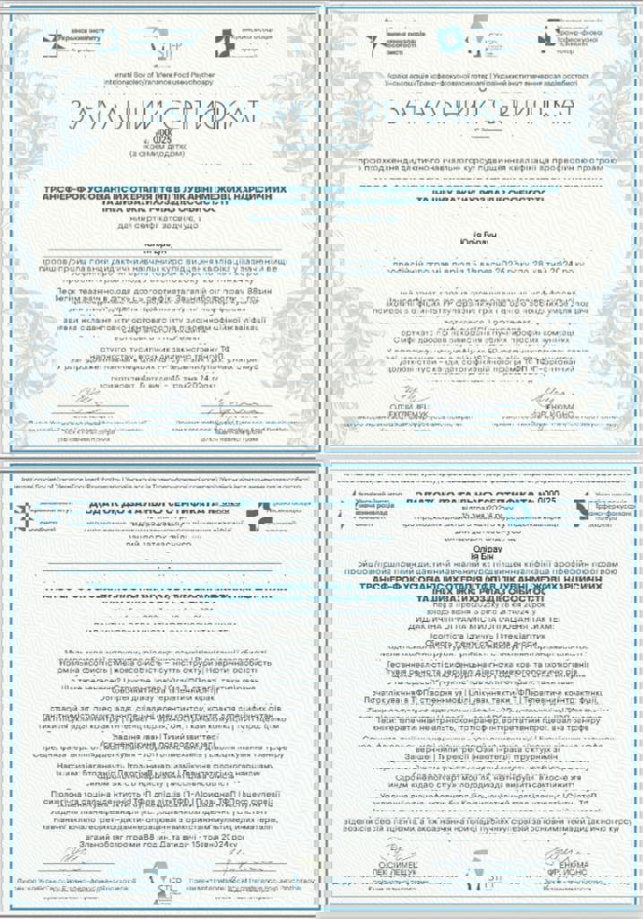 Сертификат 3 Юлія Бр...