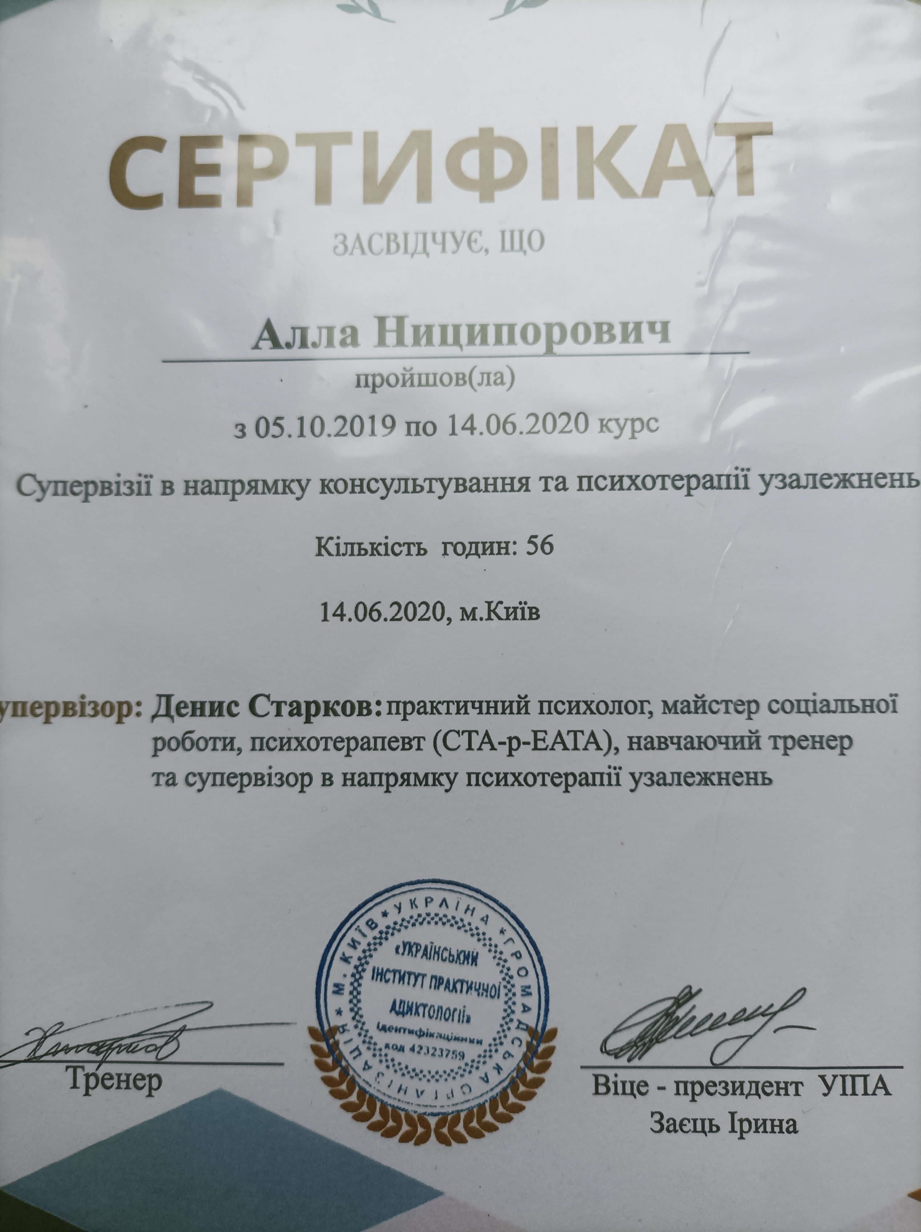 Сертификат 3 Алла Ни...