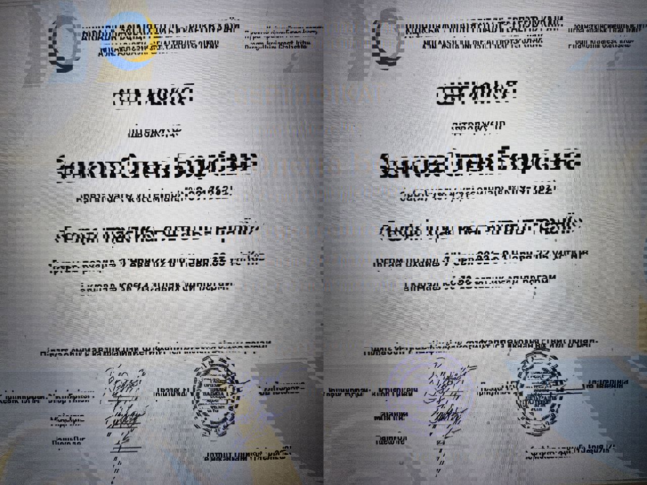 Сертифікат 2 Олена  Зє...