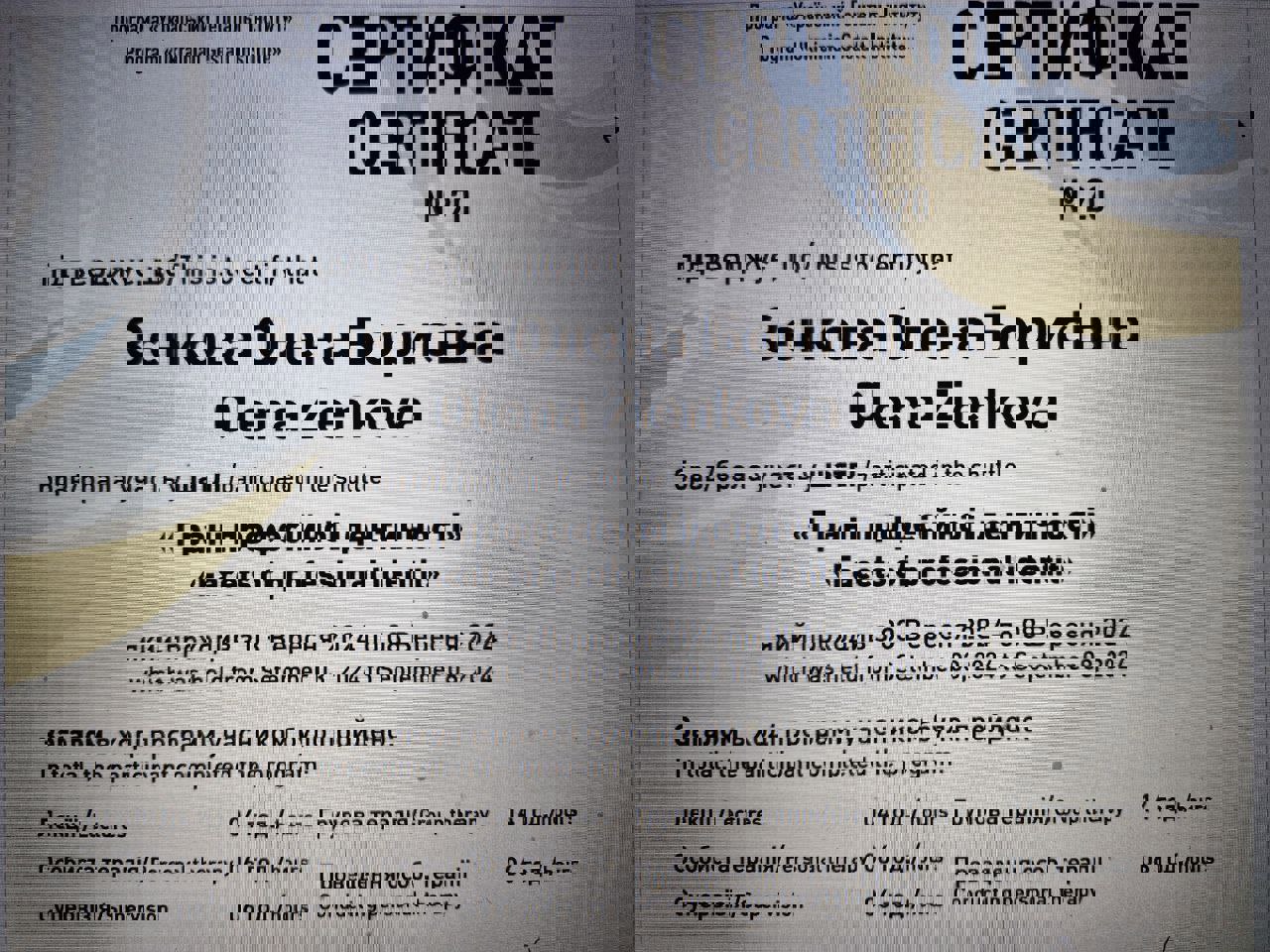 Сертифікат 5 Олена  Зє...