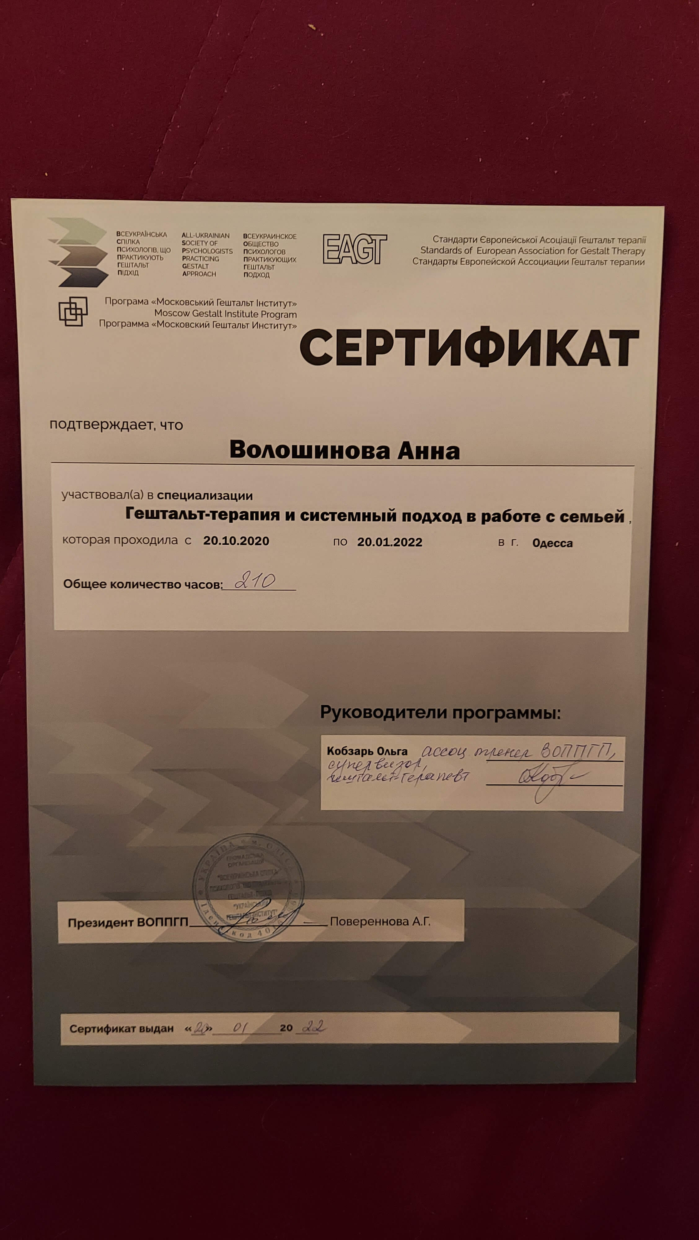 Сертифікат 2 Анна Во...