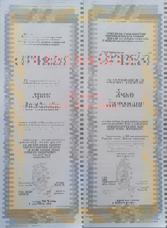 Сертифікат 1 Майя Бі...