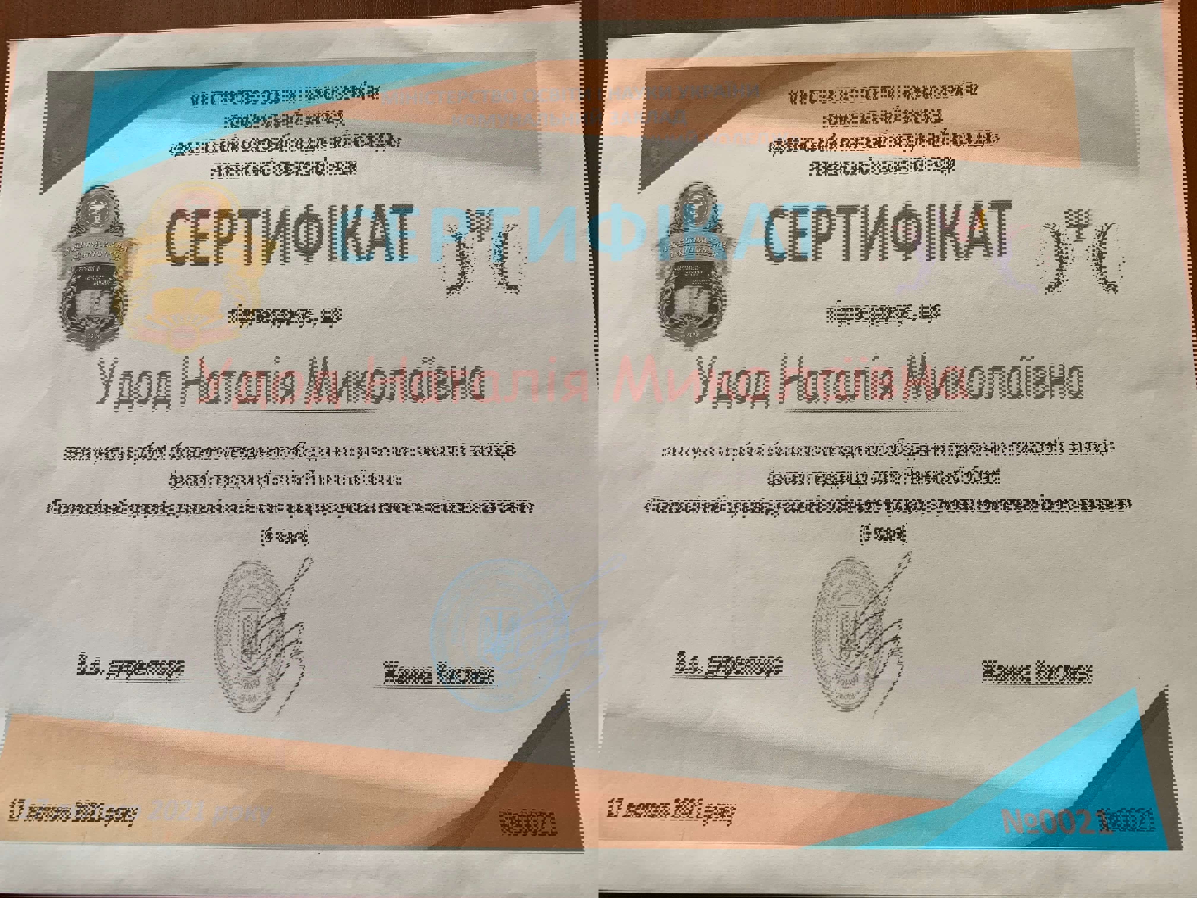 Сертификат 5 Наталія Уд...