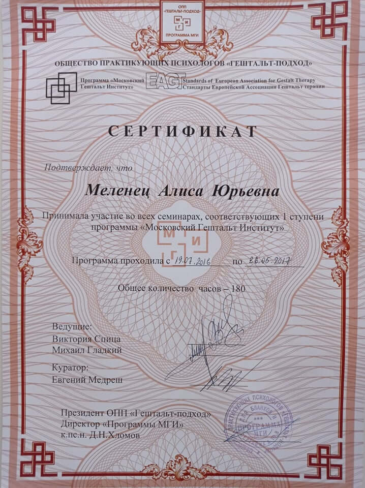 Сертификат 2 Аліса Ме...