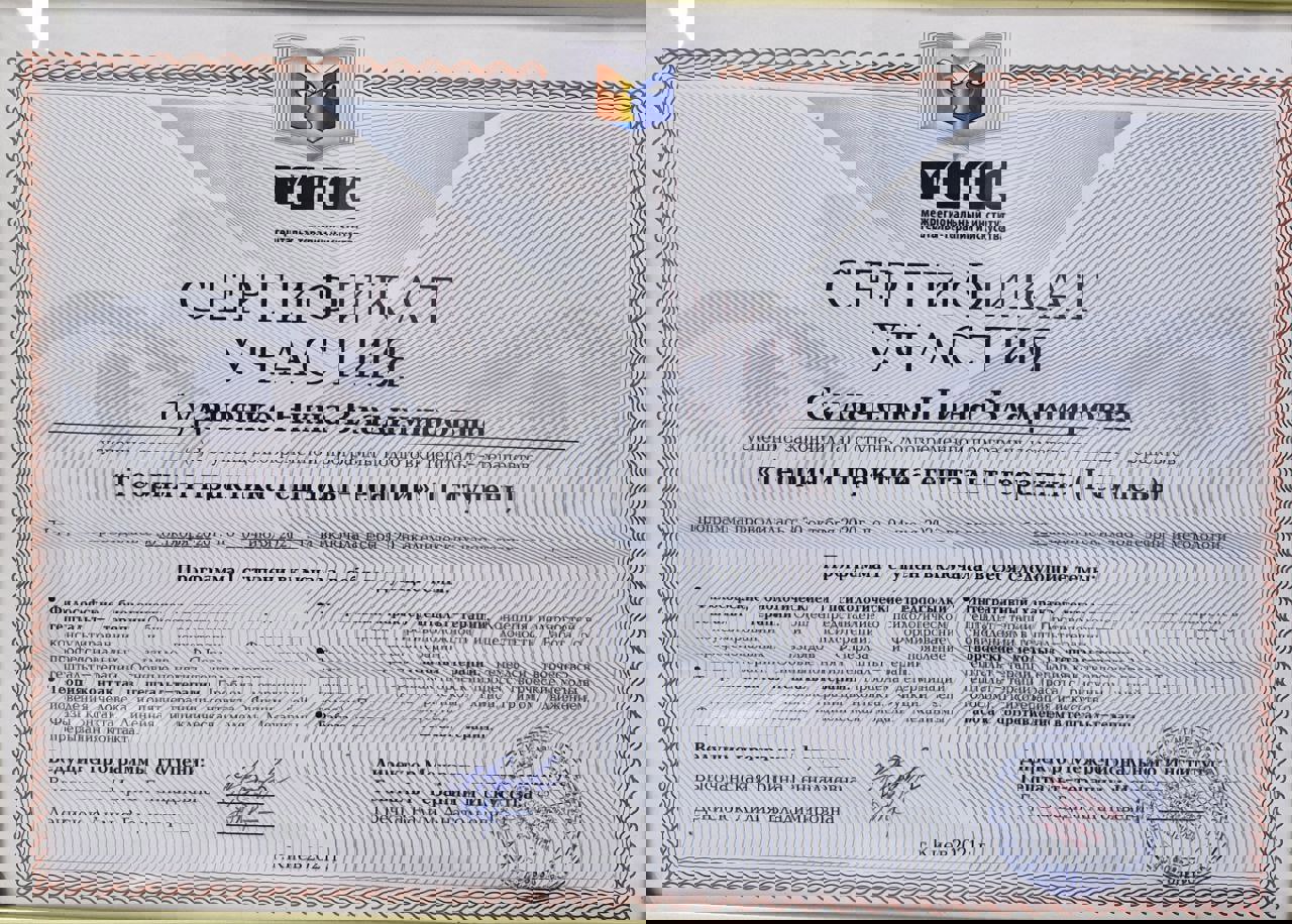 Сертификат 2 Нина Су...
