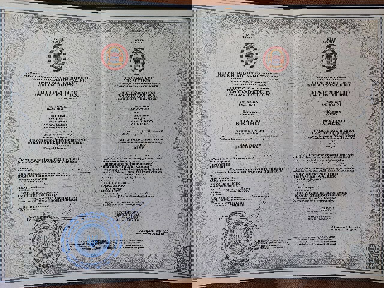 Сертифікат 5 Катерина  Ко...