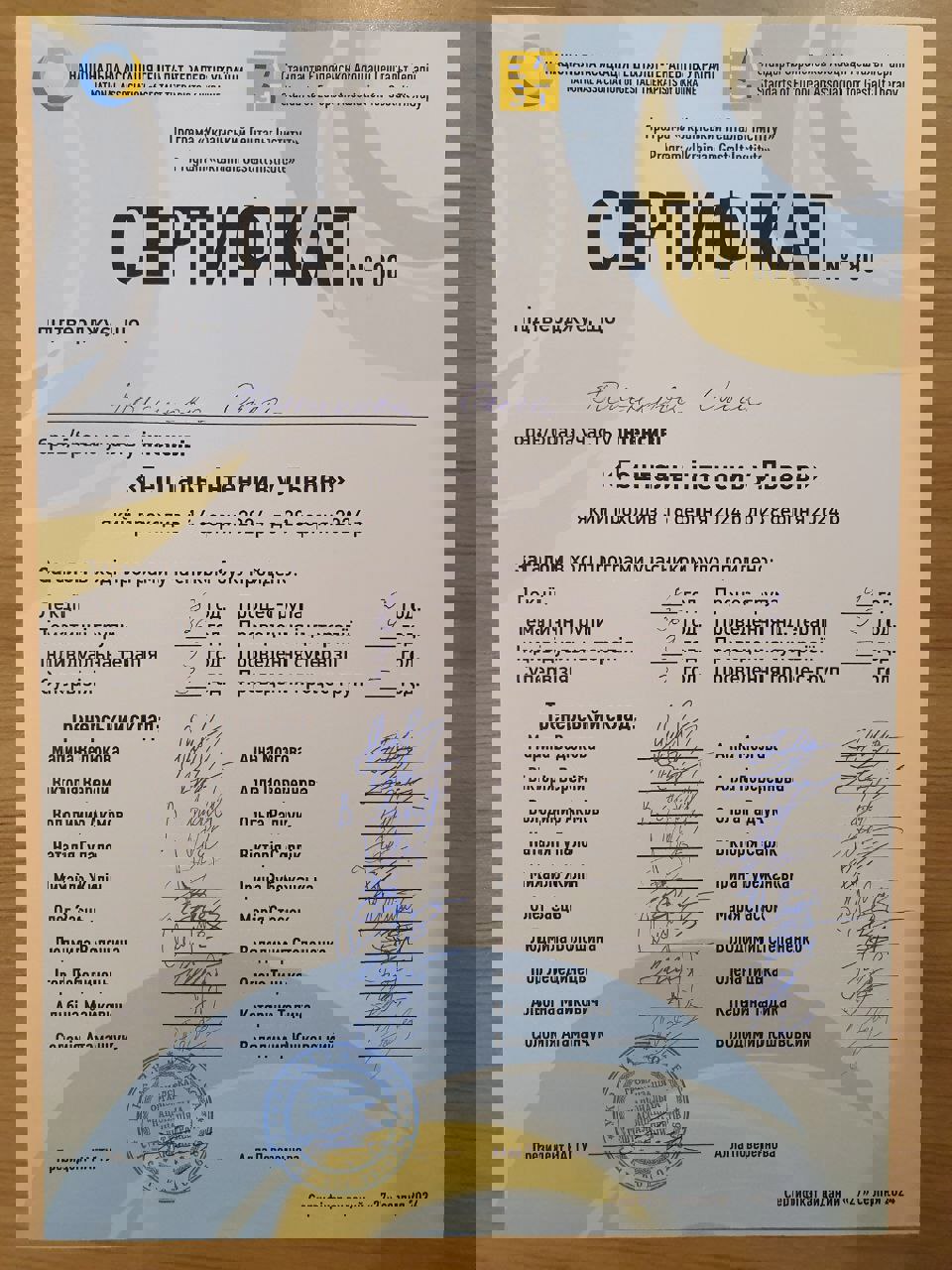 Сертификат 3 Ольга По...