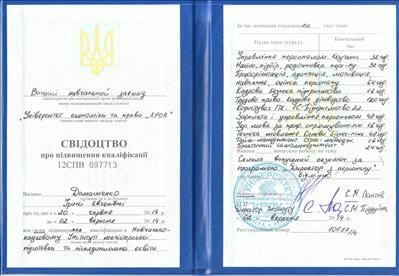 Сертифікат 3 Ірина До...