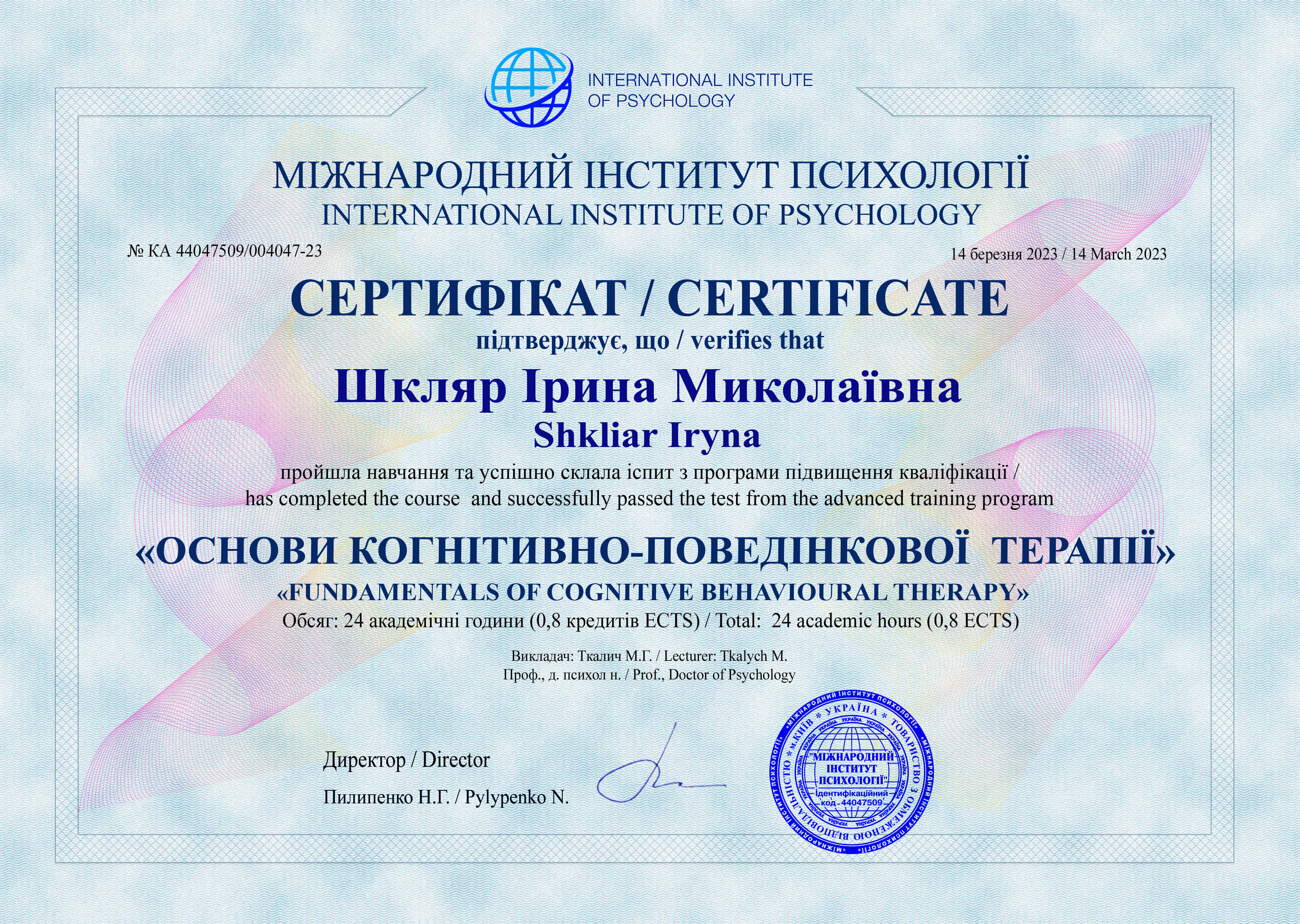 Сертифікат 2 Ірина Шк...