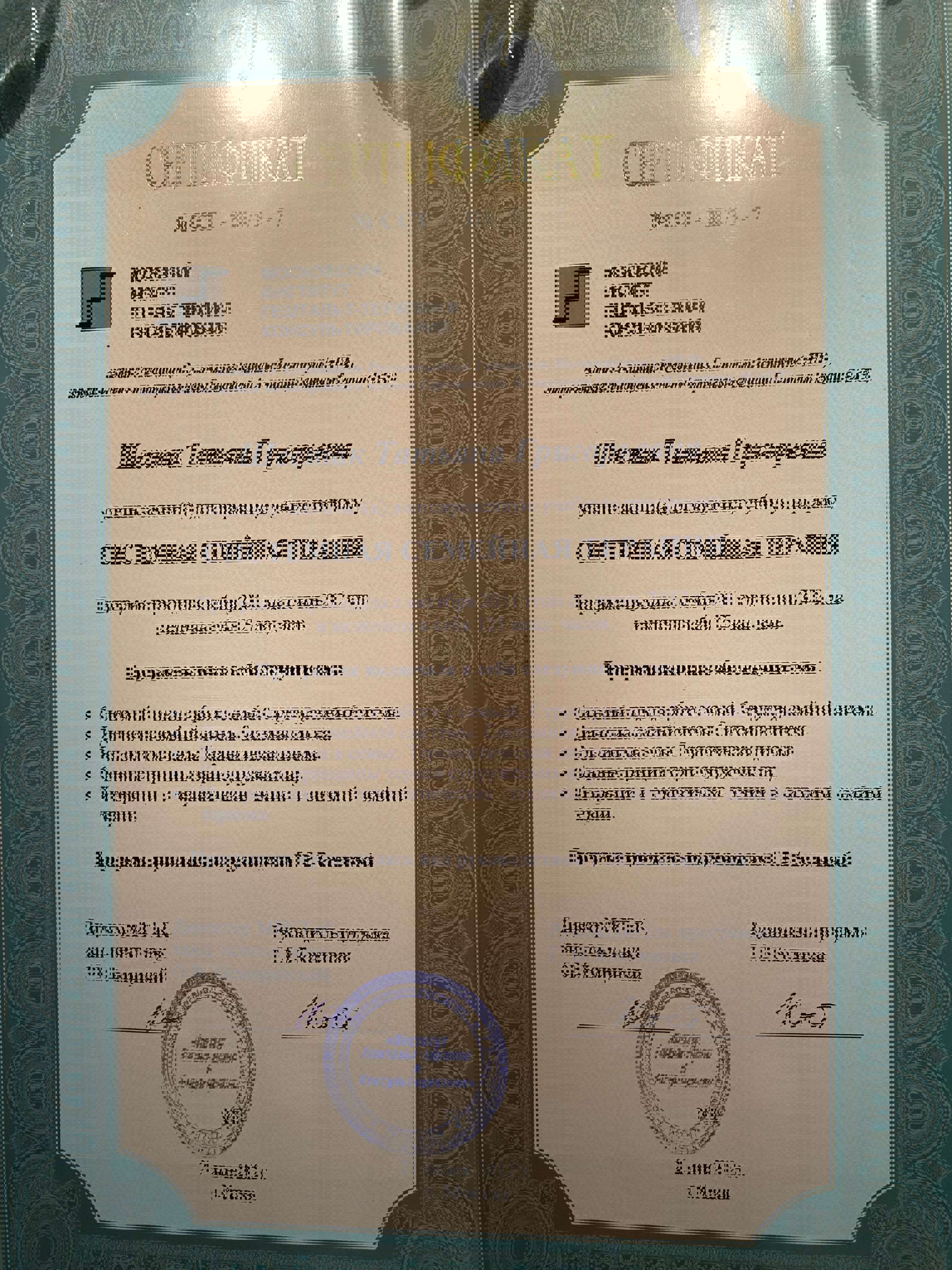 Сертифікат 1 Тетяна  Ше...