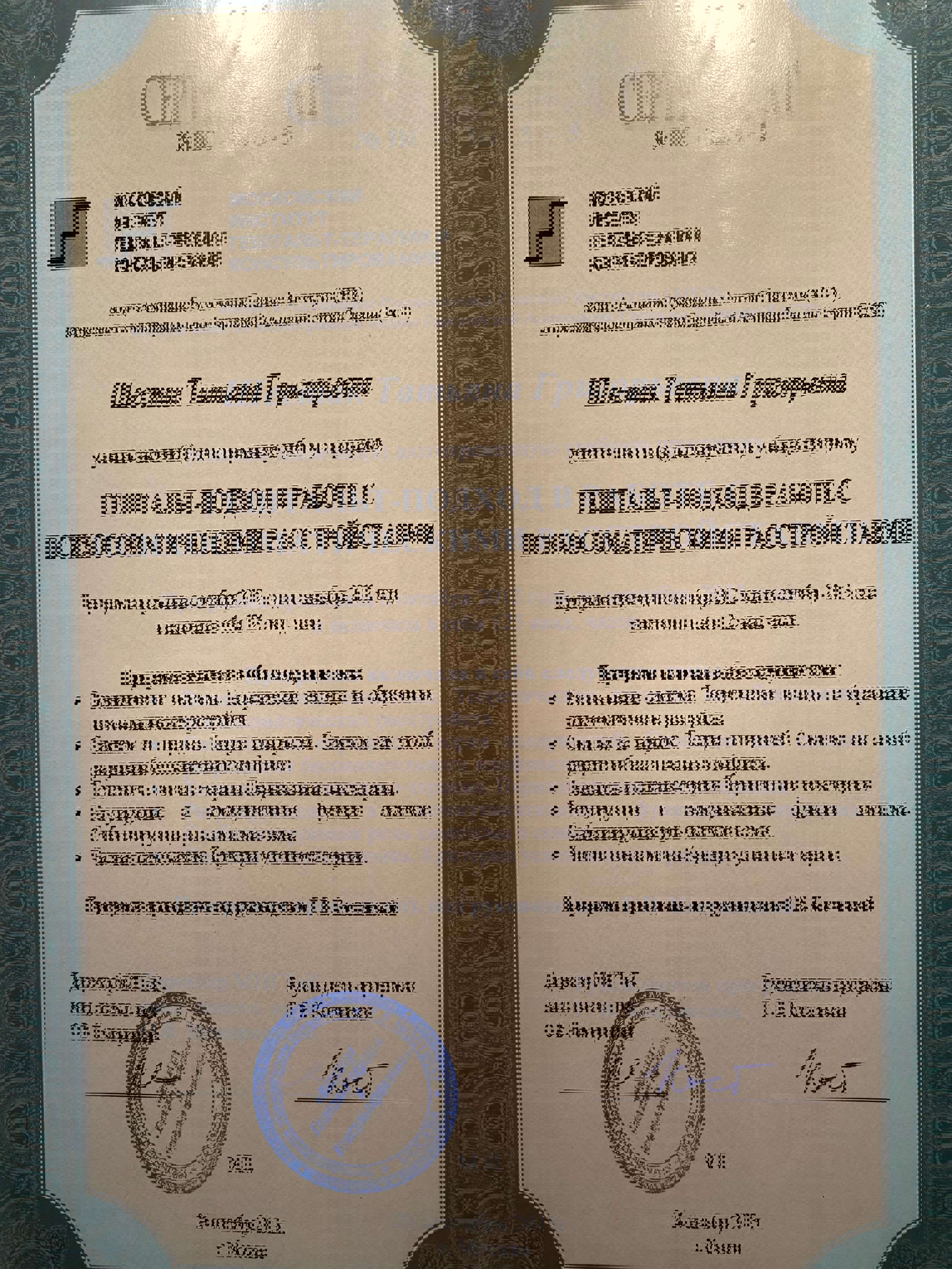 Сертифікат 2 Тетяна  Ше...