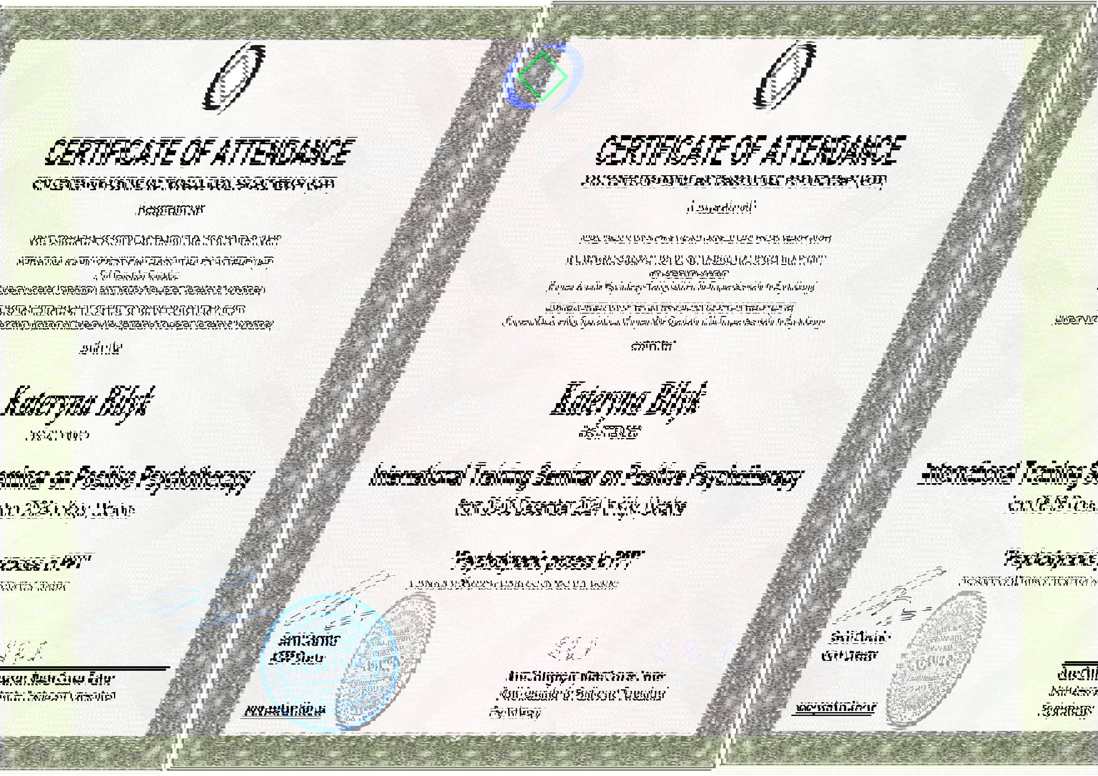 Сертифікат 1 Катерина  Бі...