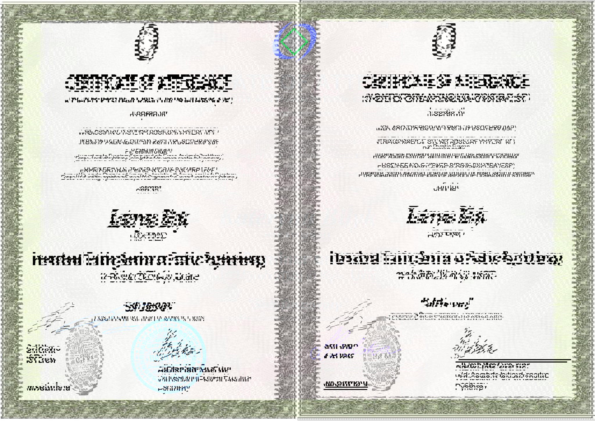 Сертифікат 3 Катерина  Бі...