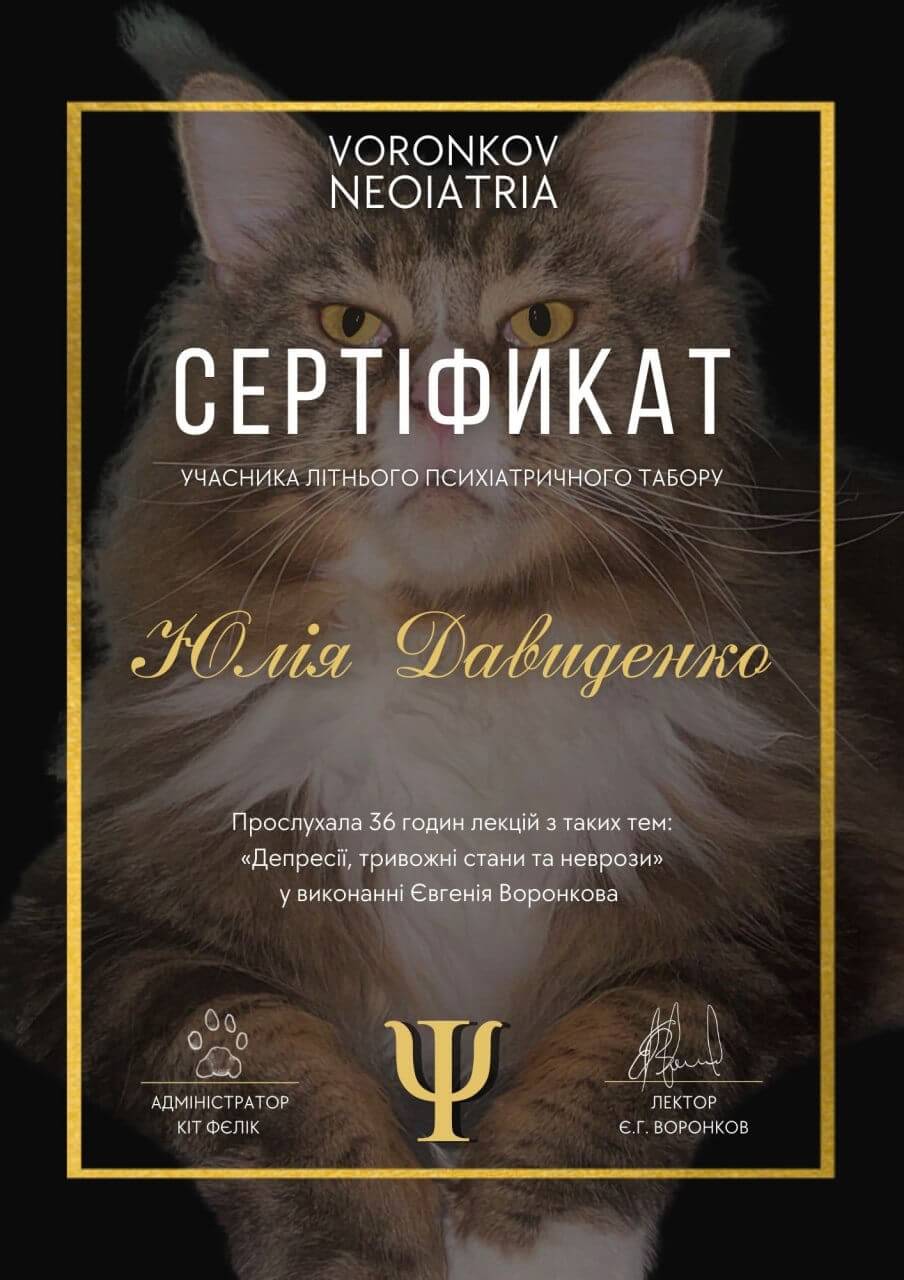 Сертификат 3 Юлия Да...