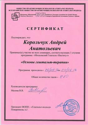 Сертификат 3 Андрей Ко...