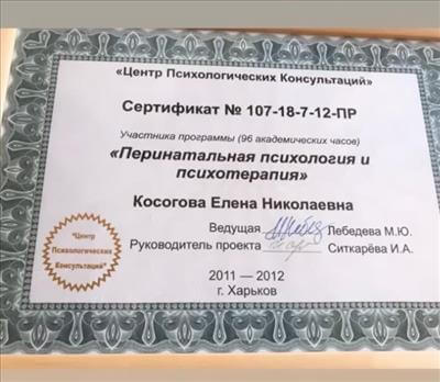 Сертифікат 4 Олена Ко...