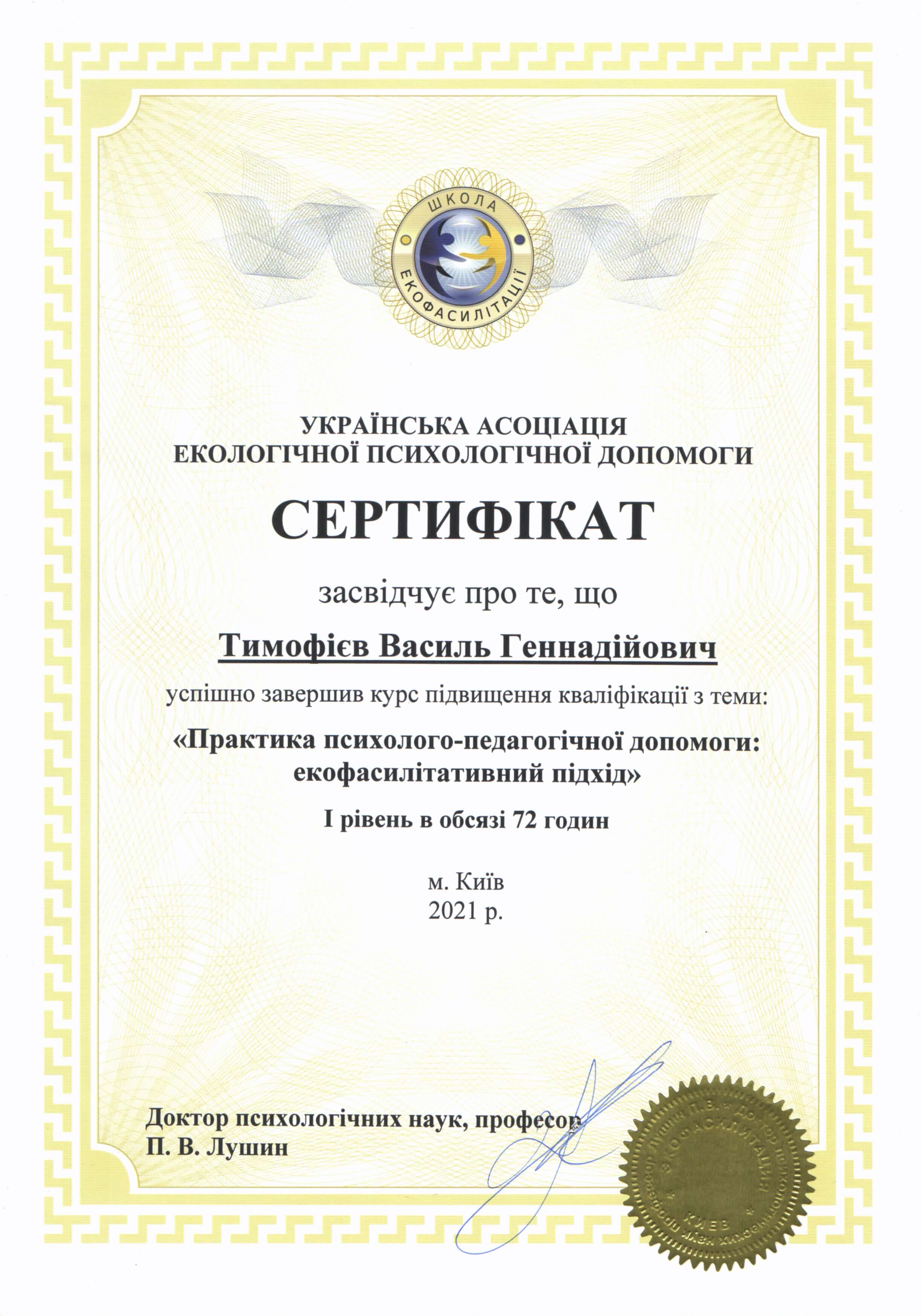 Сертифікат 2 Василь Ти...