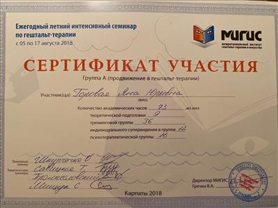 Сертифікат 3 Яна Го...