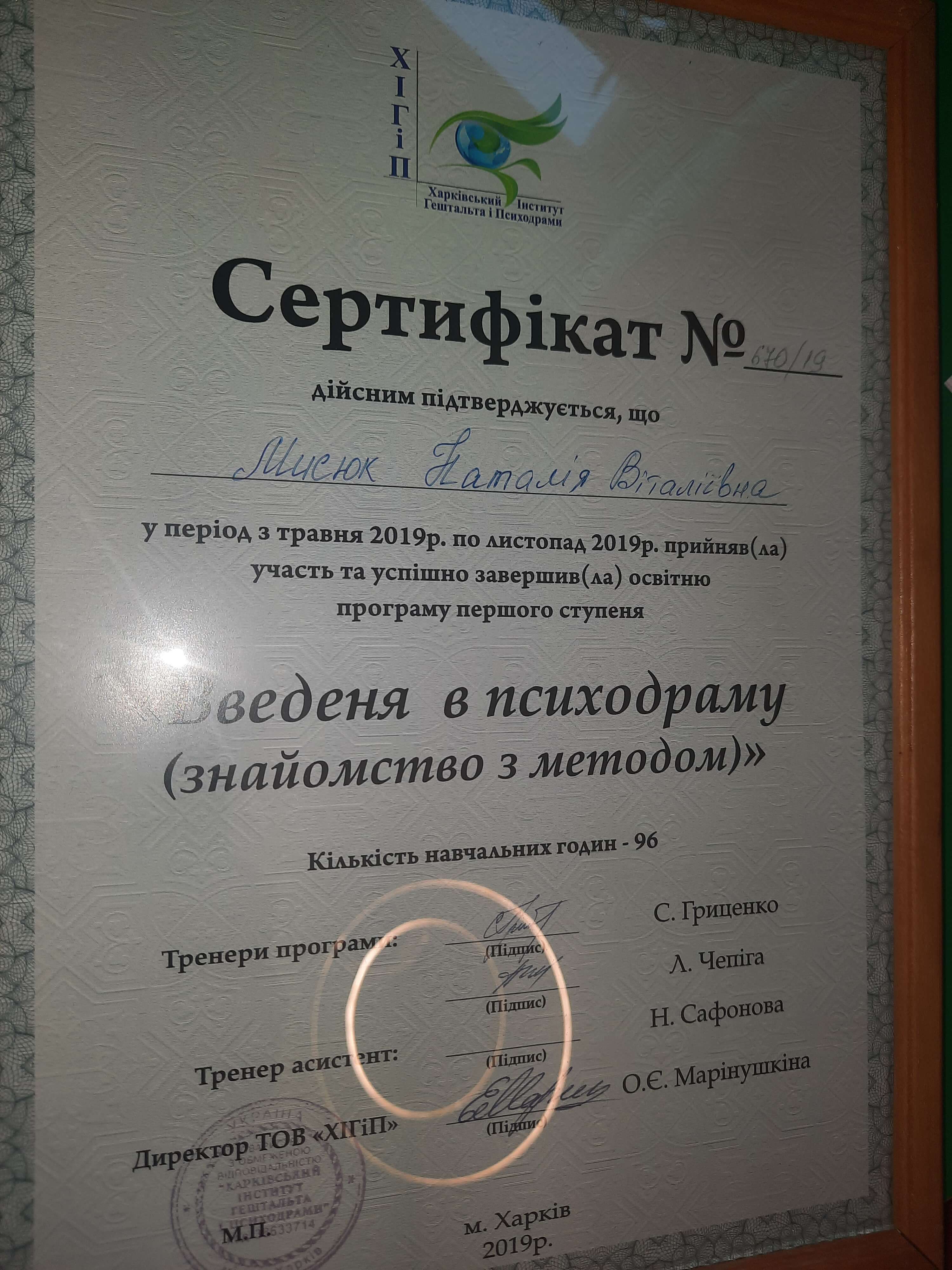 Сертификат 2 Наташа Ми...