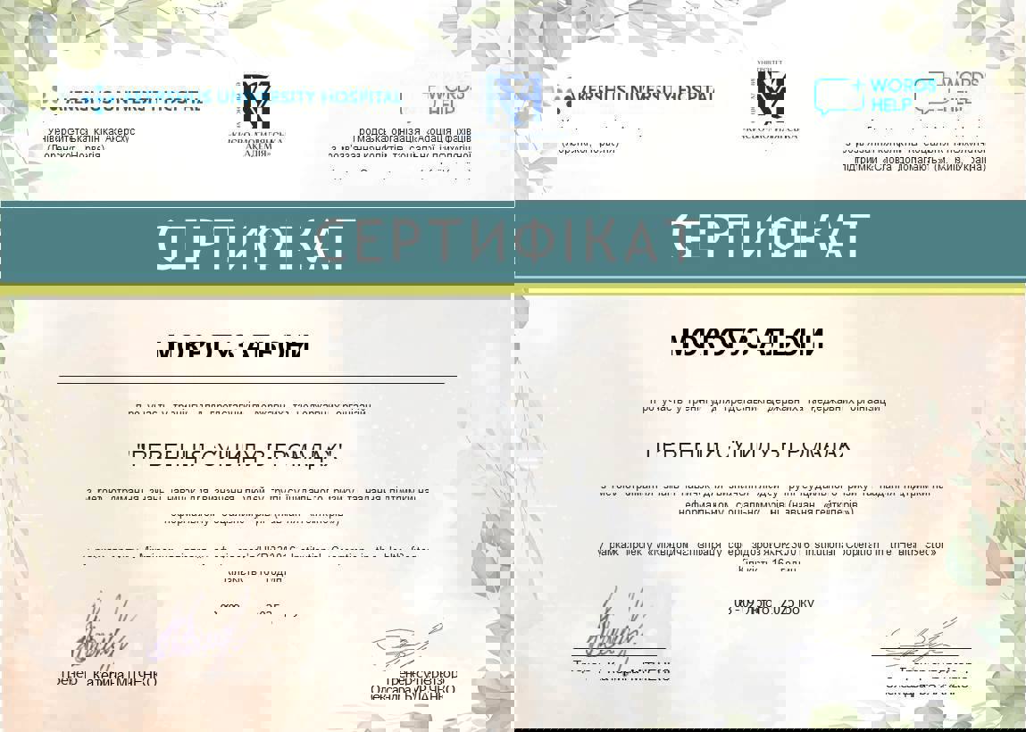 Сертифікат 2 Альона Мо...