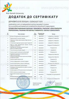 Сертифікат 2 Юрій Де...