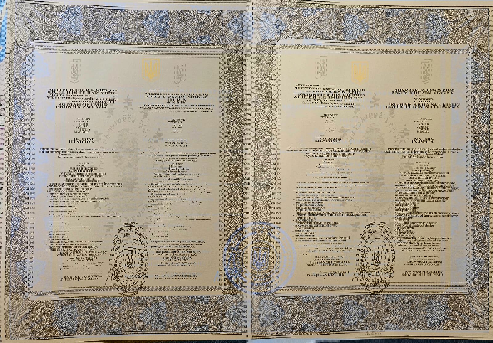 Сертифікат 3 Інна По...