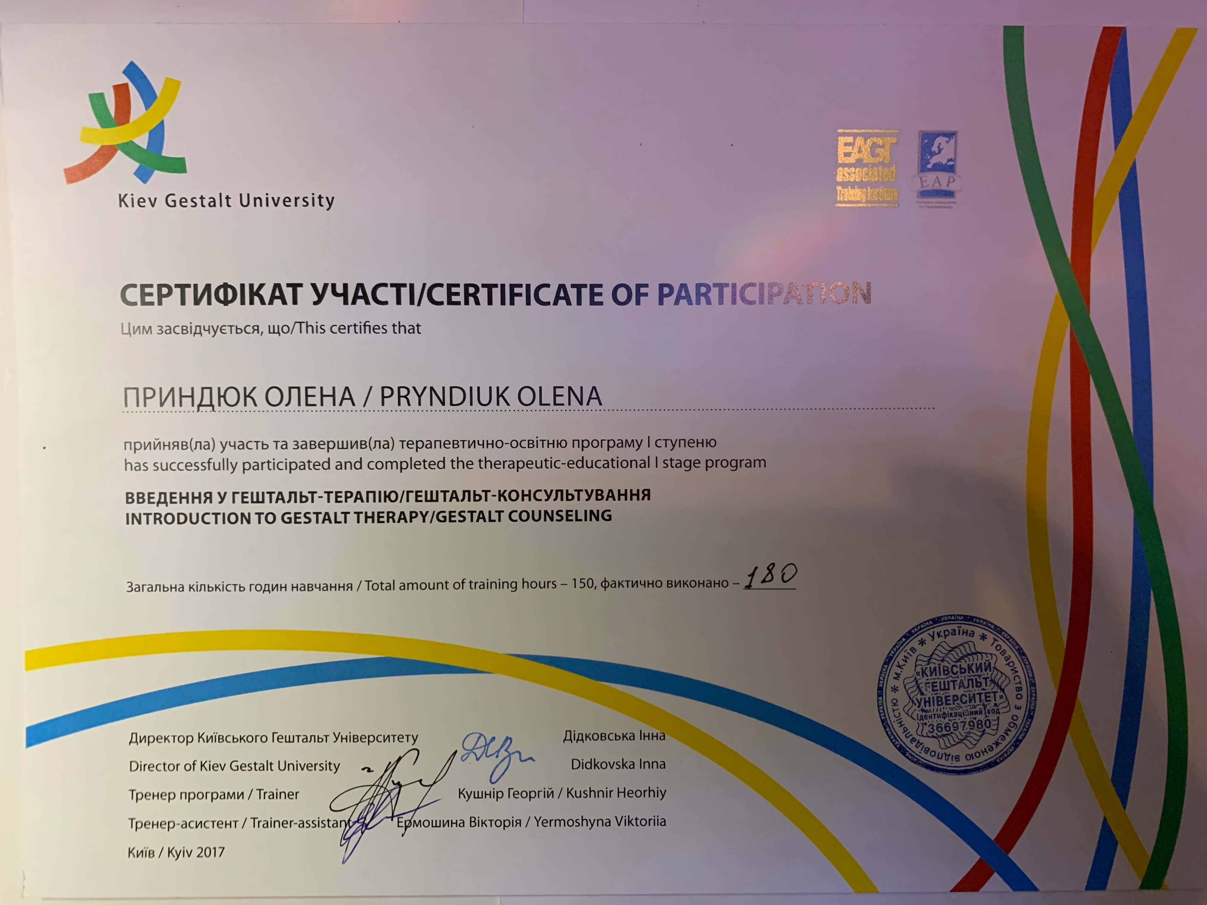 Сертификат 3 Елена  Пр...