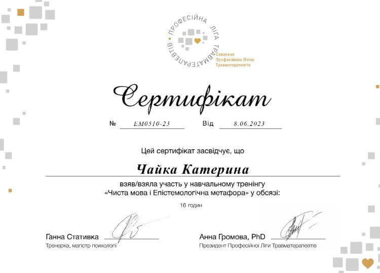 Сертификат 2 Екатерина Ча...