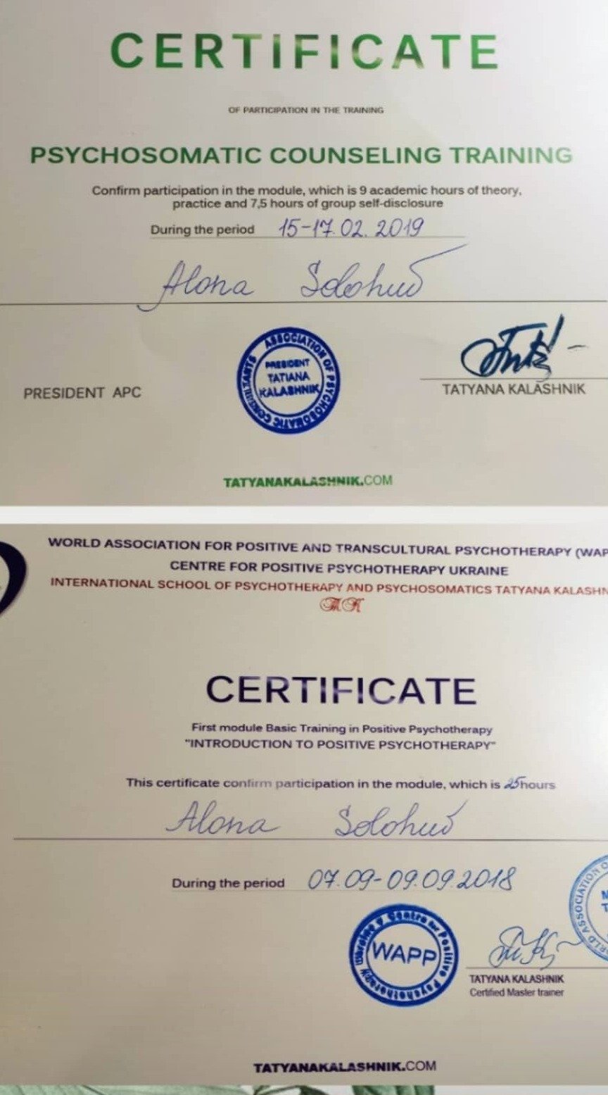 Сертификат 1 Алёна Ан...